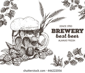 Vector illustration of beer. Raw material for brewing: branch of hops and glass. Pub menu. Beer set.