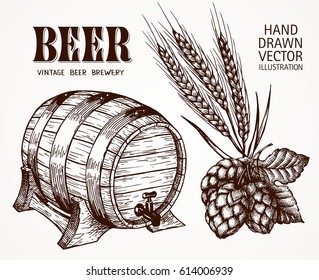 Ilustración vectorial de la cerveza. Material en bruto para la elaboración: rama de lúpulo y cebada. Menú Pub. Cerveza puesta.