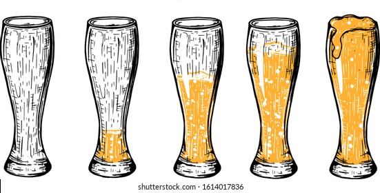 Vector illustration of beer in weizen glass set. Empty, a little bit, half, three quarters, full. Vintage hand drawn style with yellow color accents.