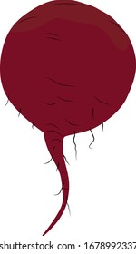 Vector illustration of beet in cartoon simple flat style isolated on white background. Healthy food concept. 
