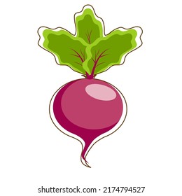 Vector illustration of beet in flat style. Summer sticker. The beet isolated on white background.