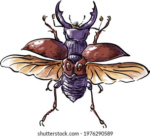 Vector illustration with beetle deer