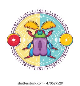 Vector Illustration of Beetle Design Elements with Line Graphic. Circle life Day and Night in Nature Concept

