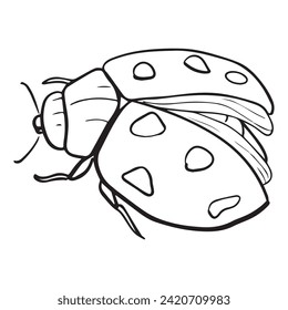 Vector illustration beetle graphic design,art tattoo sketch,hand drawing,use in printing