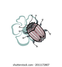 Vector illustration of a beetle on a flower. Insect isolated on white background. 