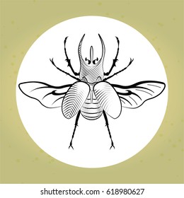vector illustration. Beetle Rhino, etching, hatching