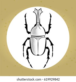 vector illustration. Beetle Rhino, etching, hatching