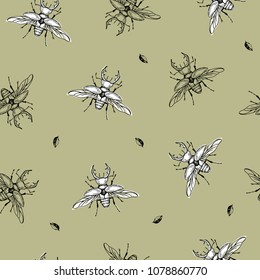 Vector illustration. Beetle seamless pattern. Pen style vector sketch. Paper design element.