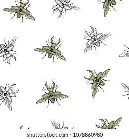 Vector illustration. Beetle seamless pattern. Pen style vector sketch. Paper design element.