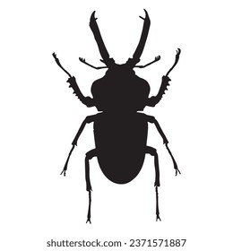 Vector Illustration of Beetle Silhouette