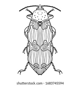 Ilustración vectorial de escarabajo.Página del libro de colorear de bug.Template para el diseño.