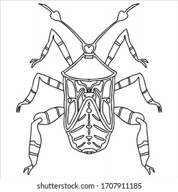Vektorillustration Illustration von Käfer.Farbing Buch Seite von bug.Template für Design.