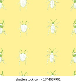 vector illustration of beetles on a warm yellow background