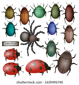 Vector illustration of beetles, spiders, ladybugs large set