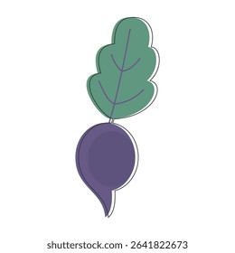 Vector illustration of beetroot with green leaf.