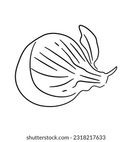Vector illustration of beetroot in hand-drawn black sketch style. Doodle icon.