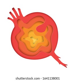 Vector illustration of the Beetroot, a healthy vegan and vegetarian food.  Modern illustration for the food, fruits and vegetables theme.