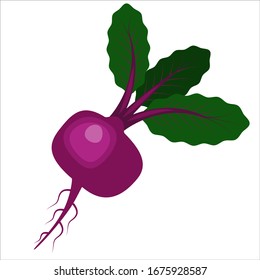 Vector illustration of beetroot icon flat design.  Illustration of beetroot, icon, isolated object on a white background. Vegetarianism, healthy food, organic vegetables . For books, magazines,and web