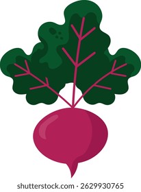 Vector illustration of a beetroot with leaves in a decorative style. Perfect for graphic design, food projects, natural products, packaging, and vegetable-themed digital materials.