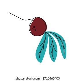 Ilustración vectorial de las remolachas con la parte superior. Cocina saludable. Verduras. Alimentos dietéticos. Ingrediente. Clíparte dibujada a mano. Doodley.