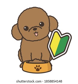 The vector illustration for beginner to own a dog.  mark for beginner. toy poodle.