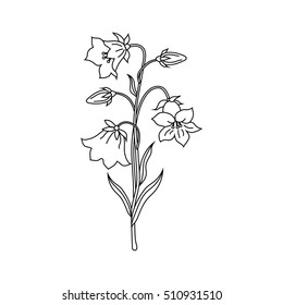 Vector illustration of bell flowers in black and white style.