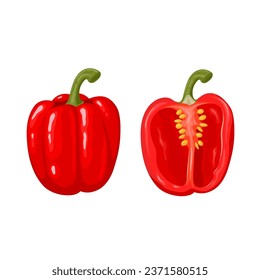 Vector illustration, bell pepper also known as paprika, scientific name Capsicum annuum, isolated on white background.
