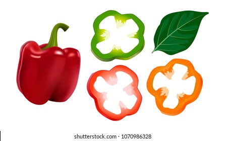 Vector illustration Bell pepper on a white background
