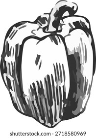 Ilustración vectorial de un pimiento morrón. Una ilustración estilizada en el estilo gráfico de linocut, con contornos llamativos y sombreado delgado sobre un fondo blanco.