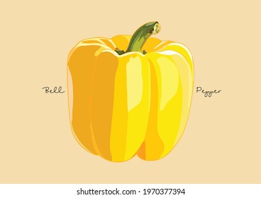 Vector Illustration of  Bell Pepper, Sweet Pepper, Pepper or Capsicum