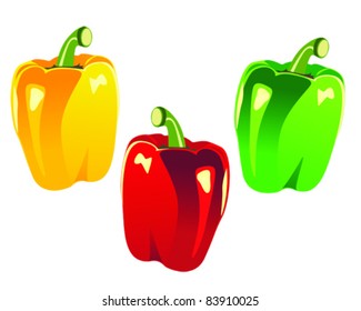 vector illustration of bell peppers