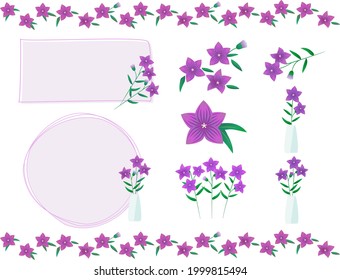 Vector illustration of bellflower flowers. Blooming flowers.
