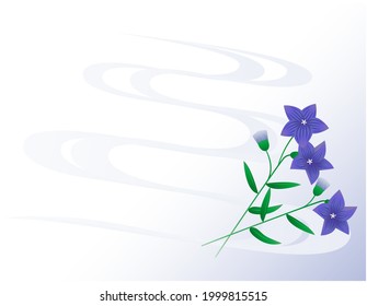 Vector illustration of bellflower flowers. Blooming flowers.