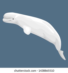 Vector Illustration Of Beluga Or White Whale Isolated