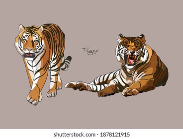 Vector Illustration of Bengal Tiger