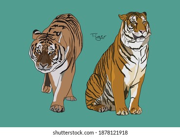 Vector Illustration of Bengal Tiger