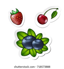 vector illustration of berries