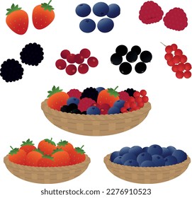 Vector illustration of berries in a basket 