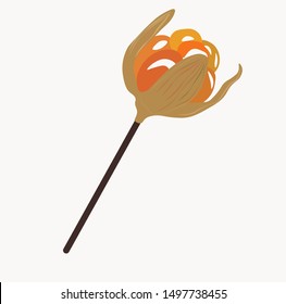 Vector illustration of berries . Cloudberries ready to be harvested. Plants with cloudberries shining in the sun. Forest berries isolated on white background. 