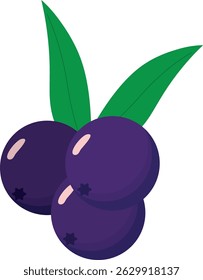 Vector illustration of açaí berries in a decorative style. Perfect for digital projects, food packaging, culinary artwork, natural products, and healthy lifestyle themes.