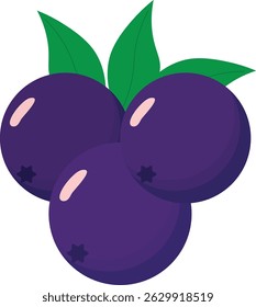 Vector illustration of açaí berries in a decorative style. Perfect for digital projects, food packaging, culinary artwork, natural products, and healthy lifestyle themes.