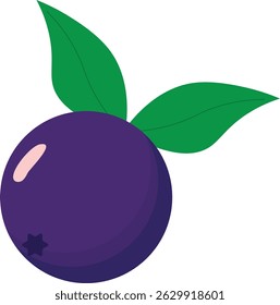 Vector illustration of açaí berries in a decorative style. Perfect for digital projects, food packaging, culinary artwork, natural products, and healthy lifestyle themes.