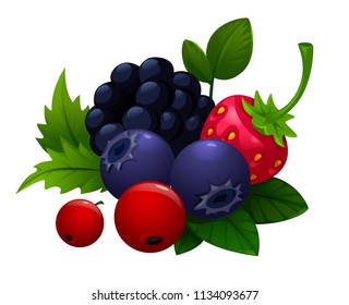 vector illustration of berries, forest. strawberry, forest strawberry, wild strawberry, blueberry, cranberry, leaves, BlackBerry, Rowan. food.