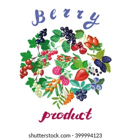 Vector illustration with berries. Hand drawn design. Big collection of berries