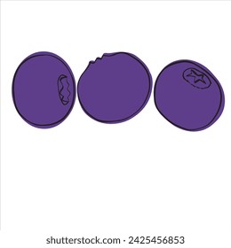vector illustration of berries and leaves of blueberry, serviceberry. Picture of berries,