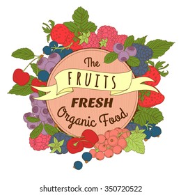 Vector illustration Berries mix frame of cherry, currant, blueberry, blackberry, raspberry, strawberry with wooden signboard