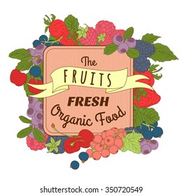 Vector illustration Berries mix frame of cherry, currant, blueberry, blackberry, raspberry, strawberry with wooden signboard