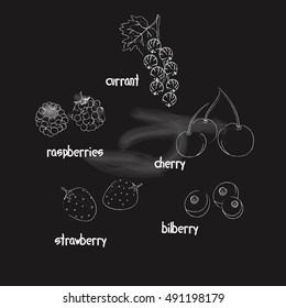 vector illustration berries on a chalkboard