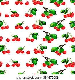 Vector illustration of berries. Set of sweet cherries.