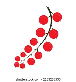 vector illustration berry currant isolated